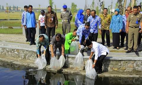 Usai sambung rasa, Wali Kota Madiun Sugeng Rismiyanto tabur benih ikan koi di Taman Kota.