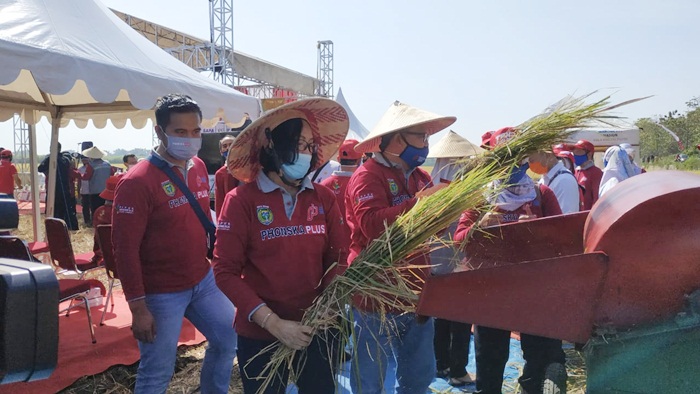 Direktur Pemasaran Petrokimia Gresik, Digna Jatiningsih Mengikuti Panen Raya Padi Hasil Aplikasi Pupuk NPK Phonska Plus Bersama Wali Kota Madiun dan DPR RI. foto: ist.