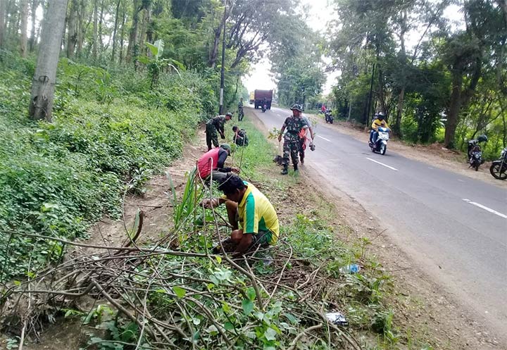Penanaman pohon Mahoni oleh Koramil Singgahan.