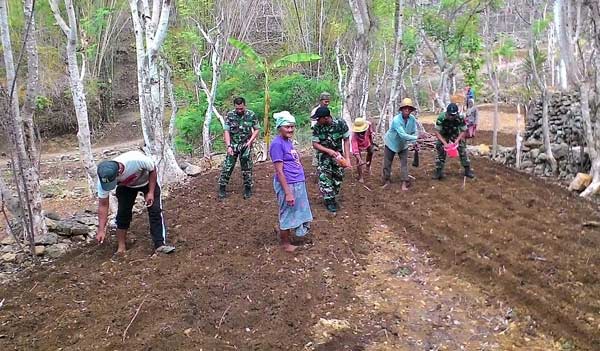 Koramil Bluto Sumenep Ajak Masyarakat Sukseskan Program UPSUS Ketahanan Pangan   
