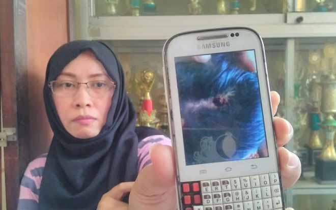 Dugaan Pemukulan terhadap Siswi SDN Dr. Soetomo oleh Guru Olahraga, Disdik Turun Tangan