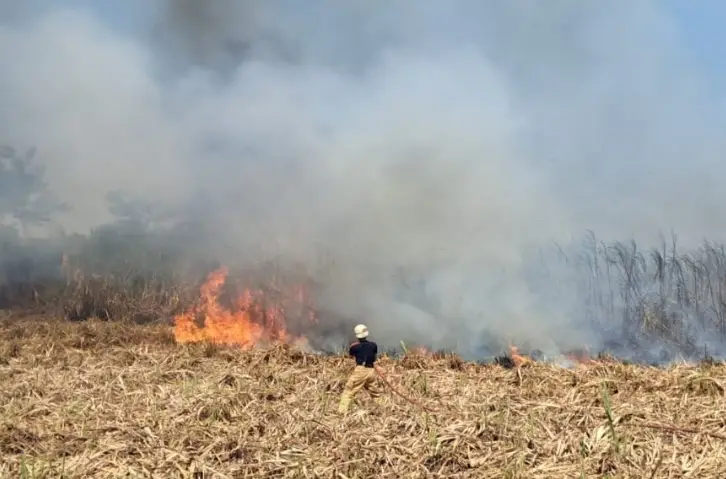 Lahan tebu yang terbakar di Kunjang, Kediri (dok. Ist)