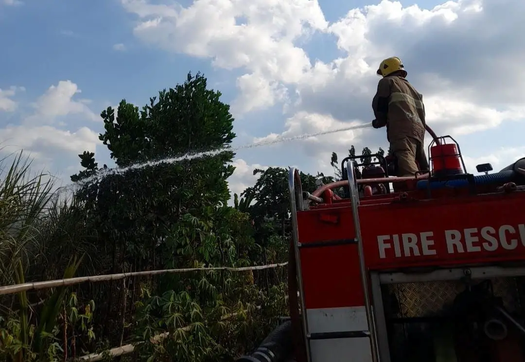 Bakar Sisa Daun Tebu, Petani di Kediri Tewas Terbakar Ditemukan dalam Kondisi Seperti Sujud