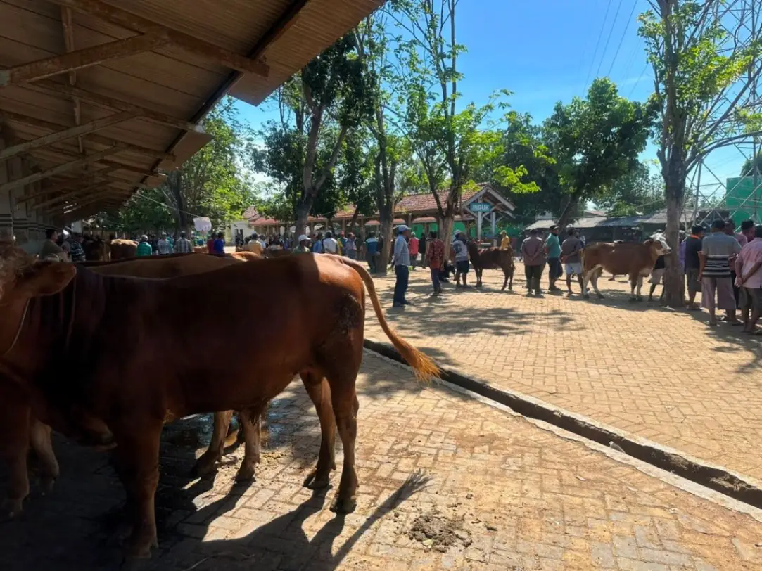 Harga Daging Sapi di Surabaya Naik Capai Rp140 Ribu per Kg Pasca-Iduladha