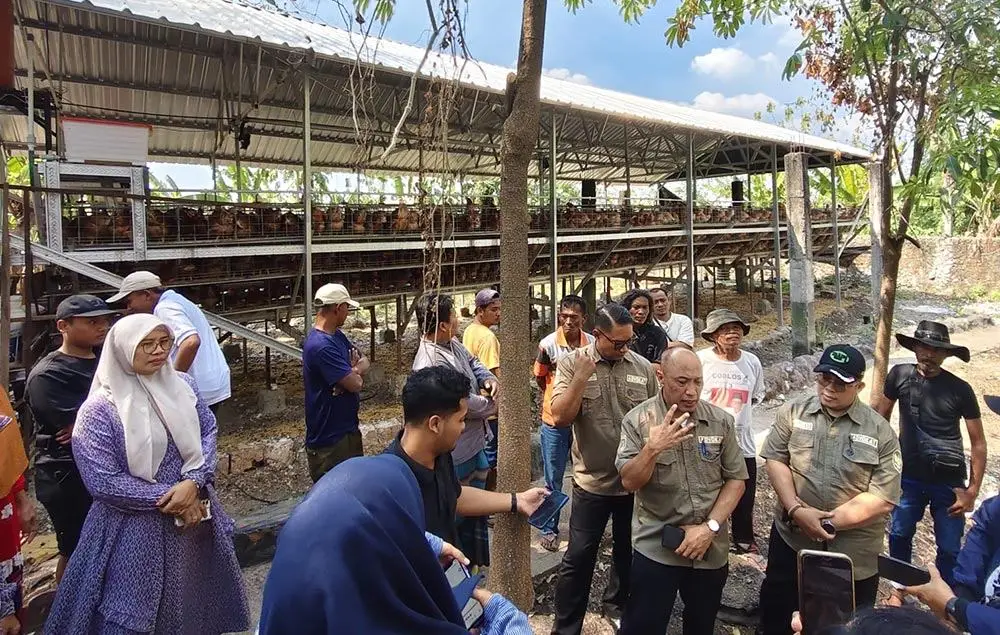 Kesal Diserbu Lalat, Warga Tuwiri Wetan Desak Kandang Ayam Milik BUMDes Direlokasi