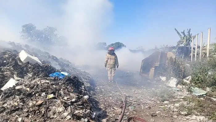 Diduga Dipicu Bakar Sampah, Kandang Ternak di Menganti Gresik Ludes Terbakar