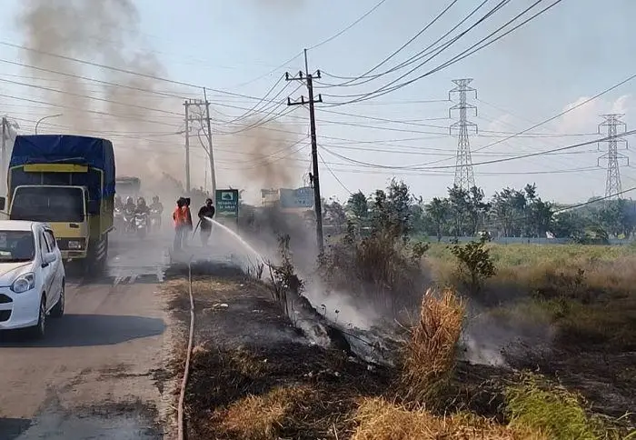 Musim Kemarau Picu Lonjakan Kebakaran di Gresik, Damkar Minta Warga Waspada