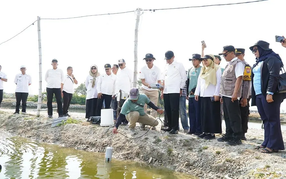 Kampung Kerapu Lamongan Terapkan Modernisasi Perikanan, Bisa Monitor Tambak via HP