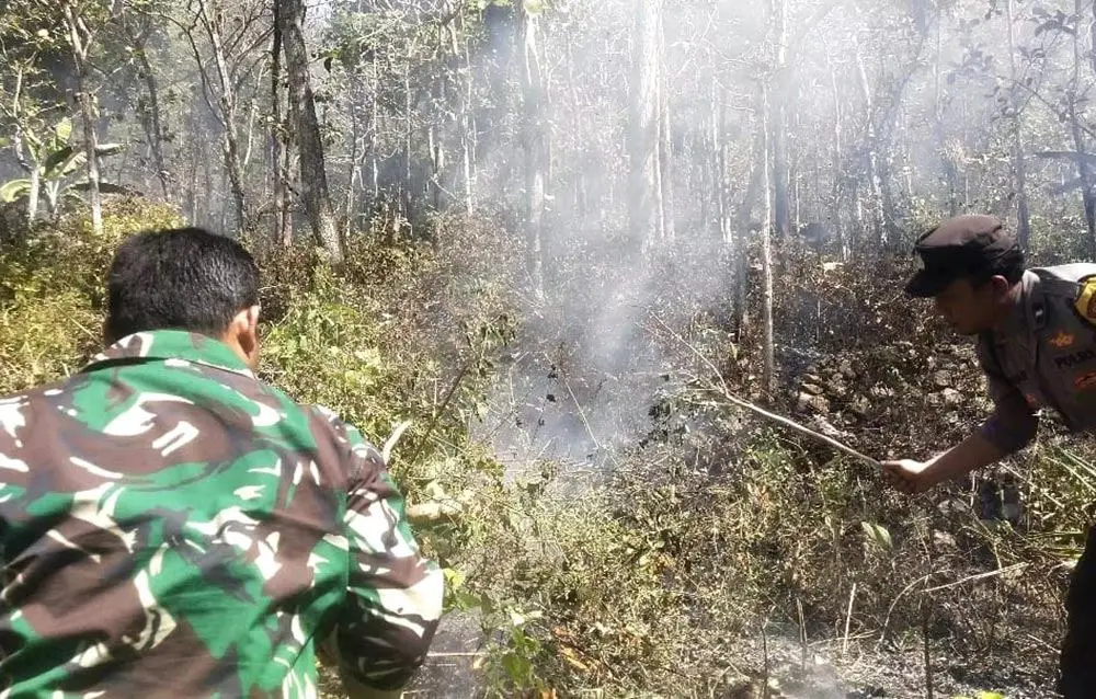 Respons Laporan Warga via 110, TNI-Polri dan Warga Padamkan Kebakaran Lahan di Bukit Gogor Ngawi