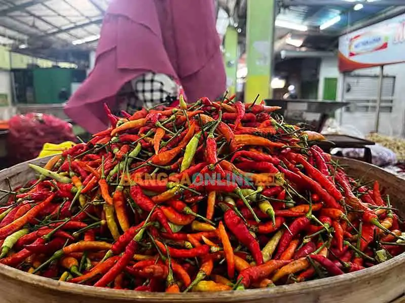 Harga cabai tiba-tiba mengalami lonjakan Rp1.350 hari ini. Foto: Sulthon/Bangsaonline.