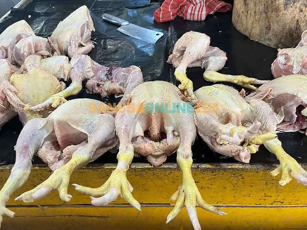 Harga daging ayam ras di Jabar hari ini melonjak. Foto: Bangsaonline.