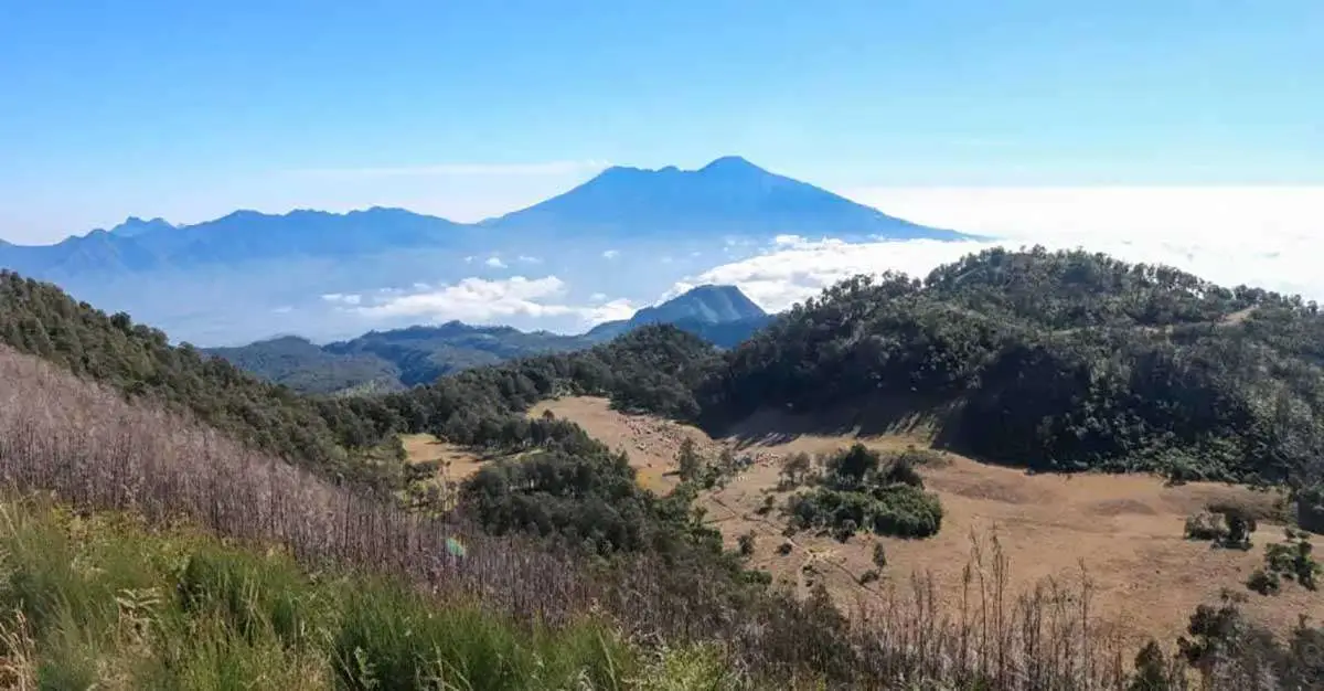 Daftar 5 Gunung di Mojokerto yang Ramah untuk Pendaki Pemula