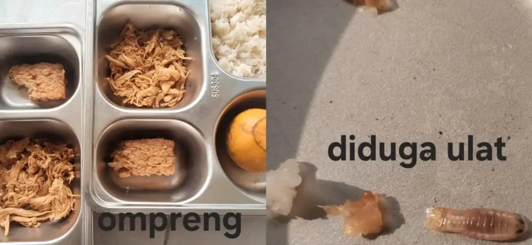 Viral Temuan Mirip Ulat di Paket MBG Lamongan, SPPG Sebut Itu Udang Rebon
