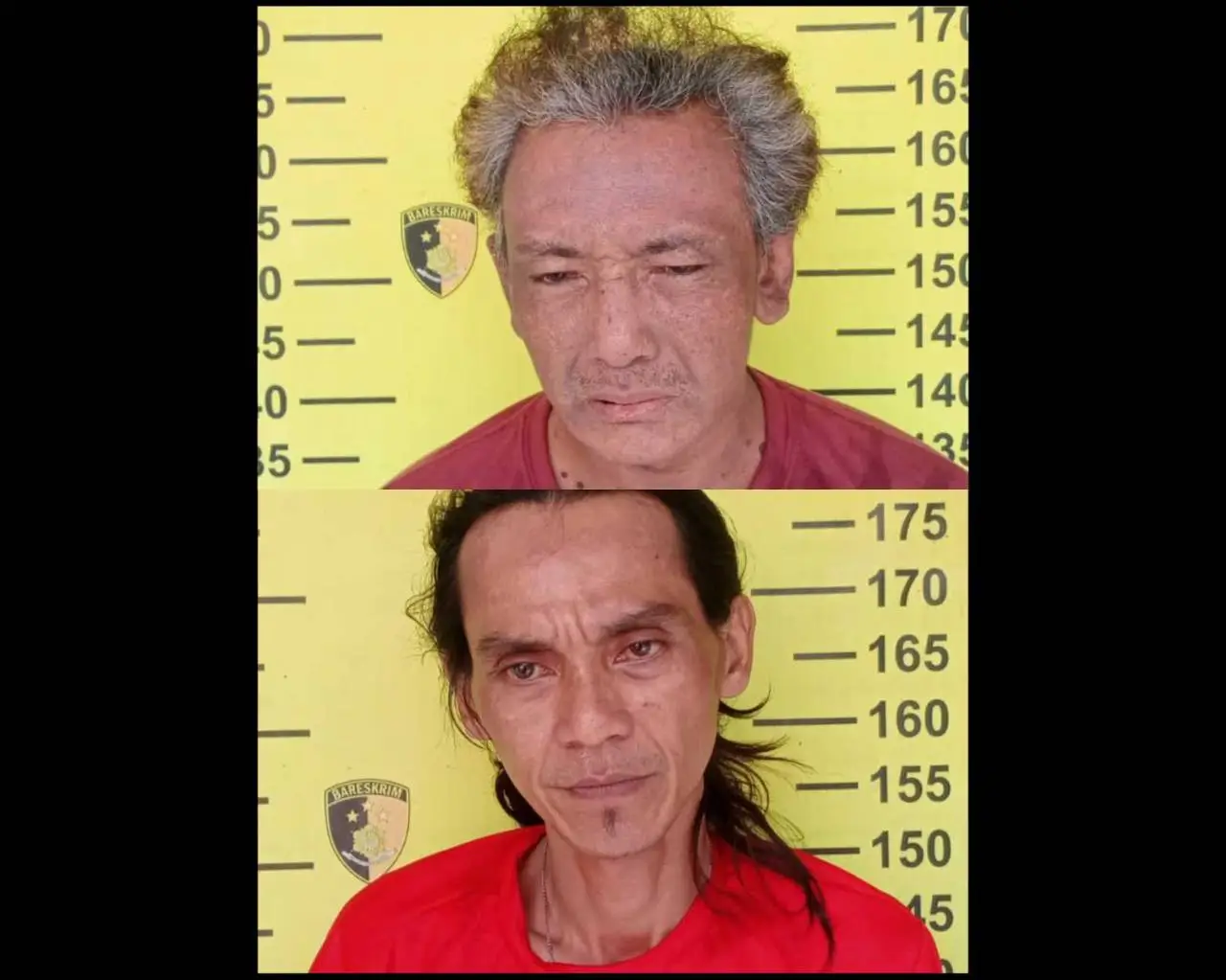 berita