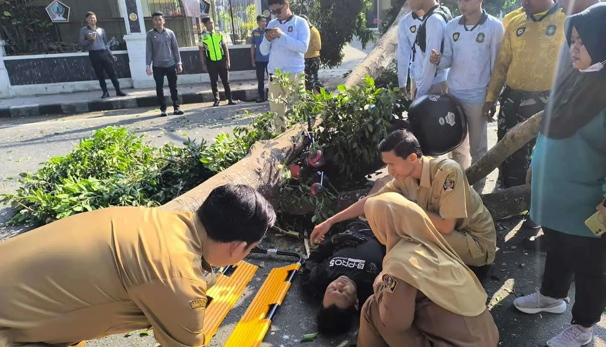 Pemotor Tertimpa Cabang Pohon Beringin di Alun-Alun Kota Blitar