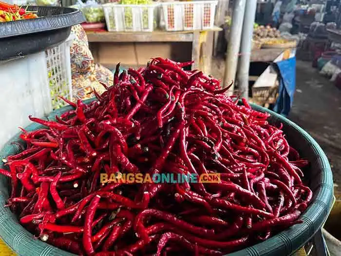 Hari Ini Cabai Besar dan Keriting Turun, Simak Update Lengkap Sembako Jatim per 18 Agustus 2026