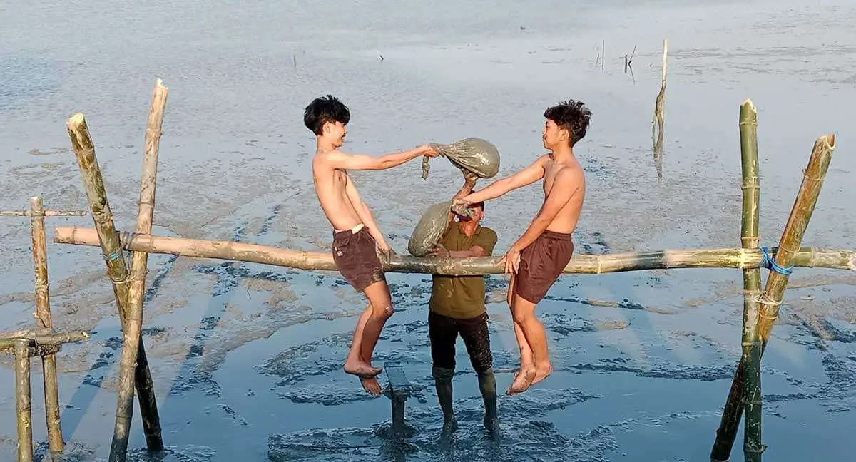 Semarak HUT ke-81 RI, Warga Karangkiring Gresik Gelar Lomba Gebuk Bantal di Pesisir Mangrove
