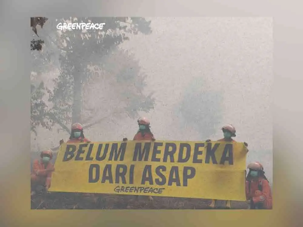 Foto: Dok. Greenpeace.
