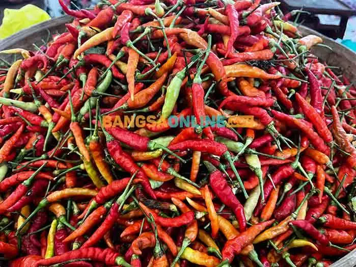 Harga Rawit di Kota Kediri Hari Ini Naik Rp1.300, Bawang Merah dan Cabai Besar Turun Rp1 Ribu