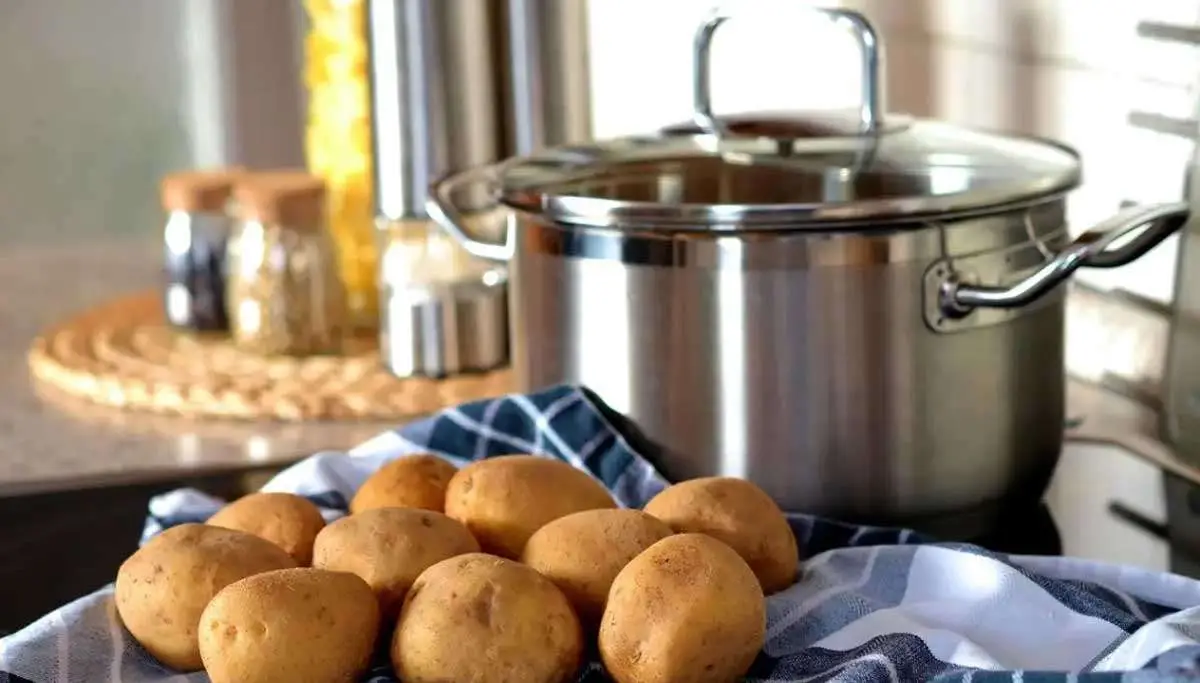Ilustrasi. Foto: Pixabay
