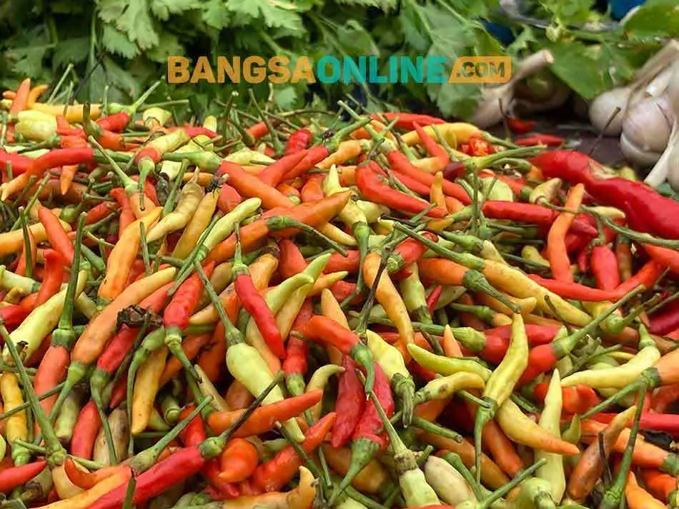 Harga Cabai di Jateng Masih Alami Lonjakan, Rawit Paling Drastis