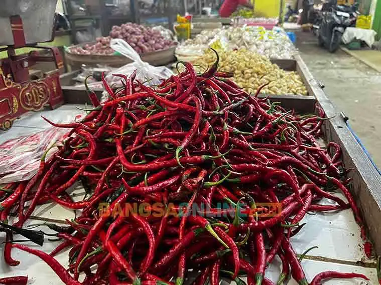 Harga cabai merah keriting mengalami lonjakan paling tinggi hari ini. Foto: Bangsaonline.