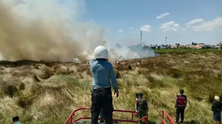 51 Kebakaran Terjadi di Bangkalan Sepanjang Kemarau, 38 Kasus Terjadi di Lahan