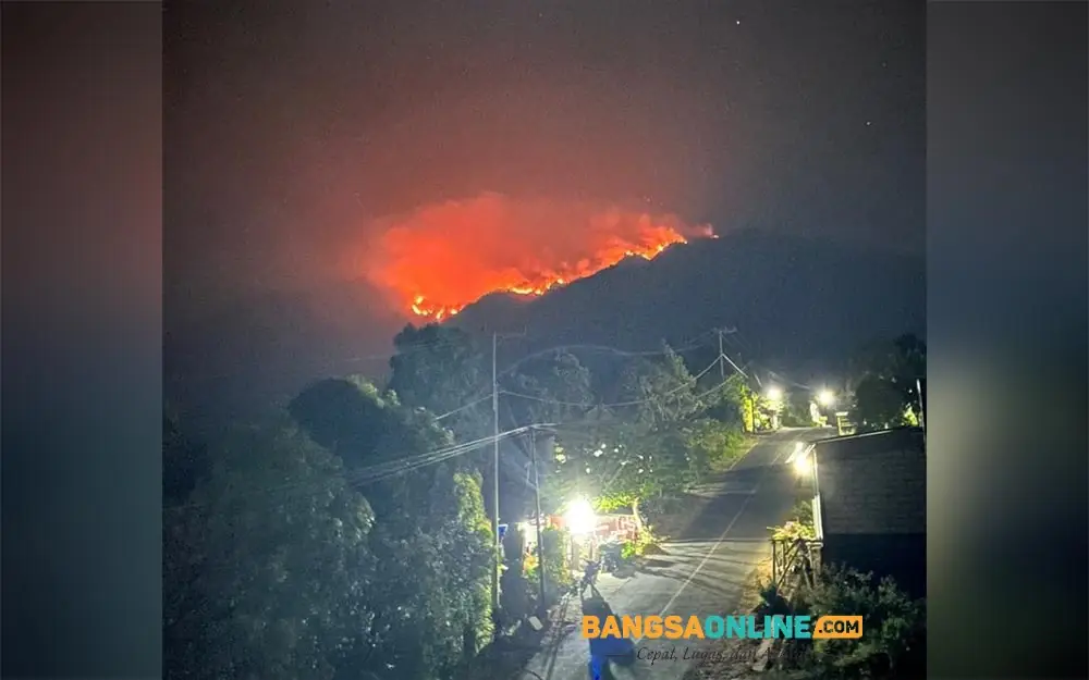 Kondisi Hutan Gunung Wilis di Wilayah Desa Ngliman, Kecamatan Sawahan, Kabupaten Nganjuk. Api tampak masih membara.