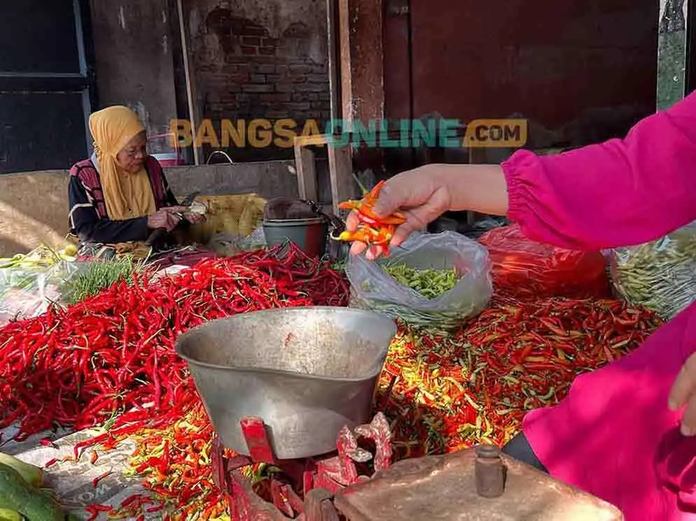 Harga Cabai dan Bawang di Gresik Hari Ini Naik