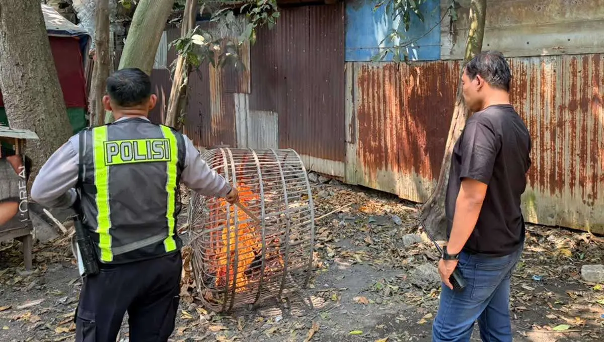 Polsek Taman Respons Cepat Aduan Dugaan Judi Sabung Ayam