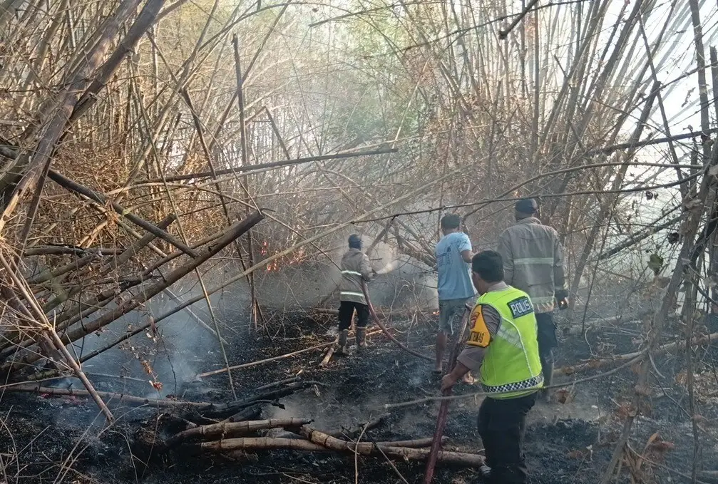 Dua Kebakaran di Lamongan dalam Sehari Bikin Warga Rugi Rp80 Juta, Kandang Ternak Ludes