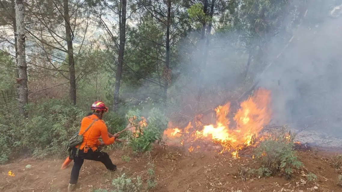 Dua Kebakaran Hutan Terjadi Sehari di Kota Batu, Total 2,4 Hektare Terdampak