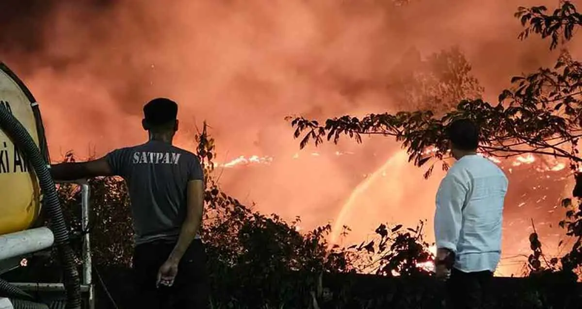 Ilustrasi. Foto: Ist