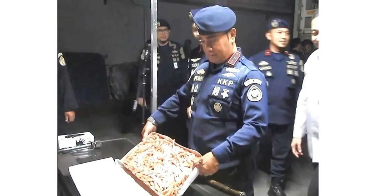 Udang yang disita petugas.