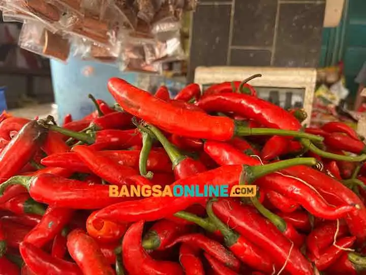 Daftar Harga Sembako Jatim Hari Ini: Cabai Besar Rp26.651/kg, Teri Rp77.340/kg