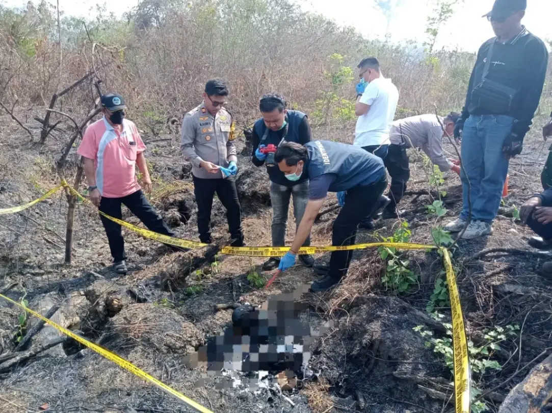 Kerangka Manusia Ditemukan di Hutan Kedungpring Lamongan, Lahan Sekitar Bekas Terbakar