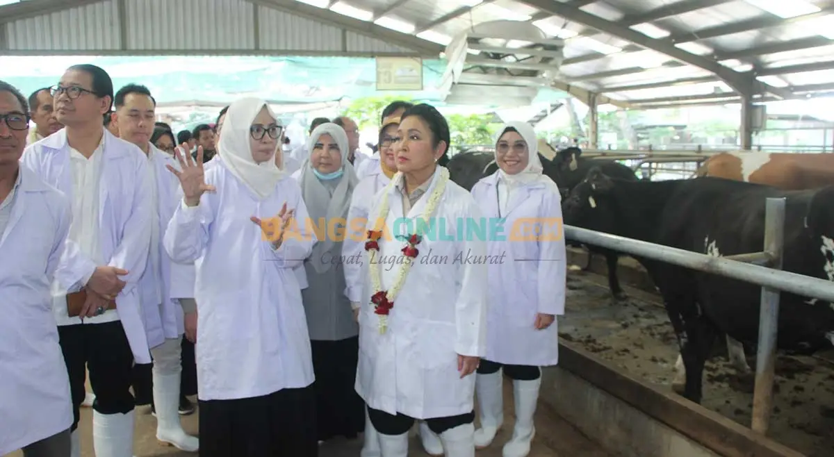 KUTT Suka Makmur Jadi Lokomotif Ekonomi Peternak Rakyat