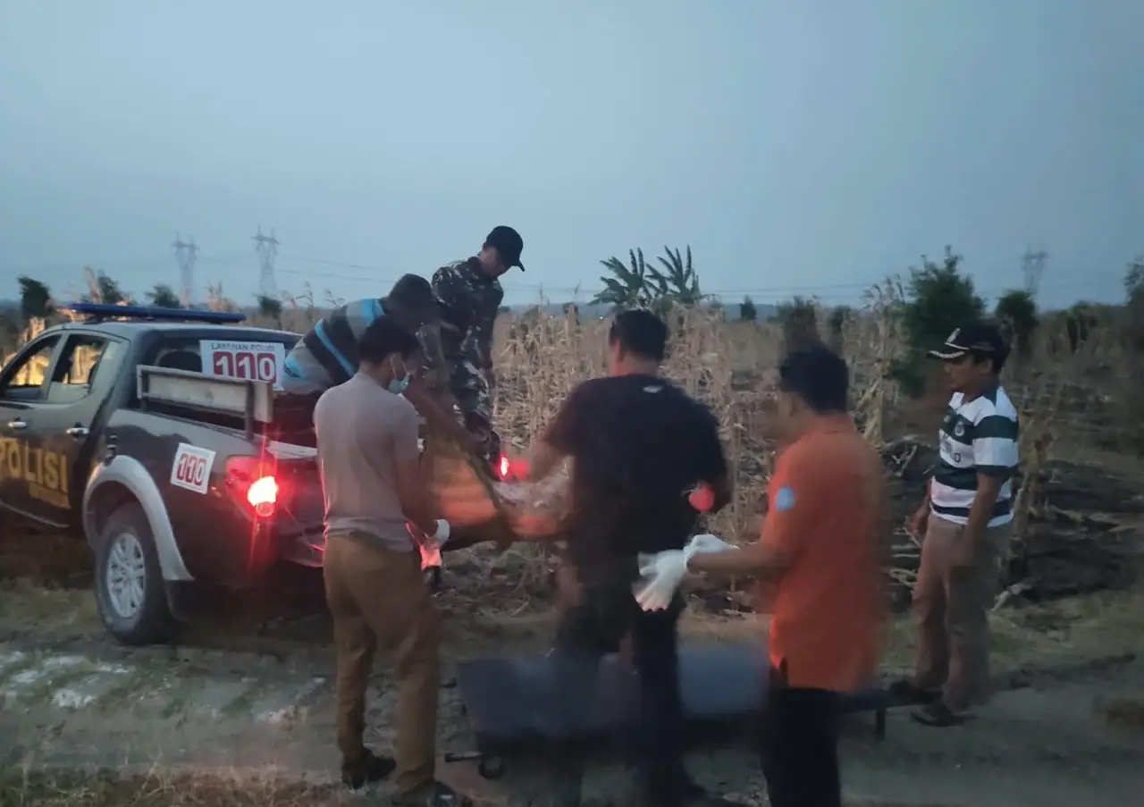 Dua Lansia Ditemukan Tewas di Hutan Lamongan, Polisi Pastikan Tak Ada Tanda Kekerasan