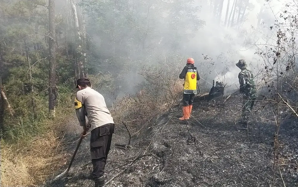 Kondisi Medan Sulit, Petugas Gabungan Masih Berupaya Padamkan Karhutla Gunung Botak Ngawi