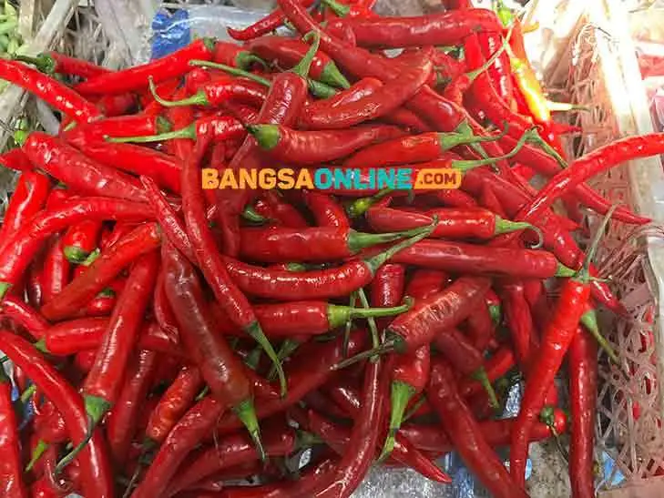 Foto: Bangsaonline.