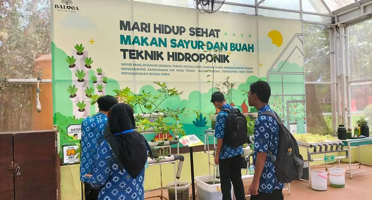 Baloga Luncurkan Wahana Edukasi Pengolahan Keripik dan Minuman Sehat
