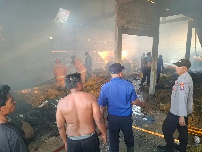 Dua Kebakaran Terjadi di Lamongan dalam 24 Jam, Kerugian Capai Rp285 Juta