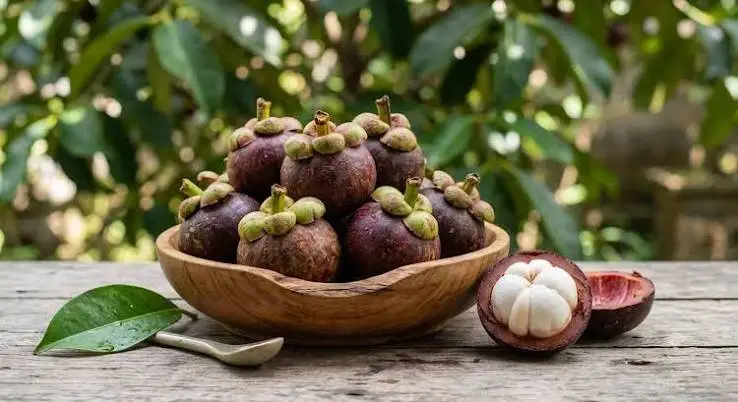 5 Efek Konsumsi Manggis ini Ternyata Jarang Diketahui