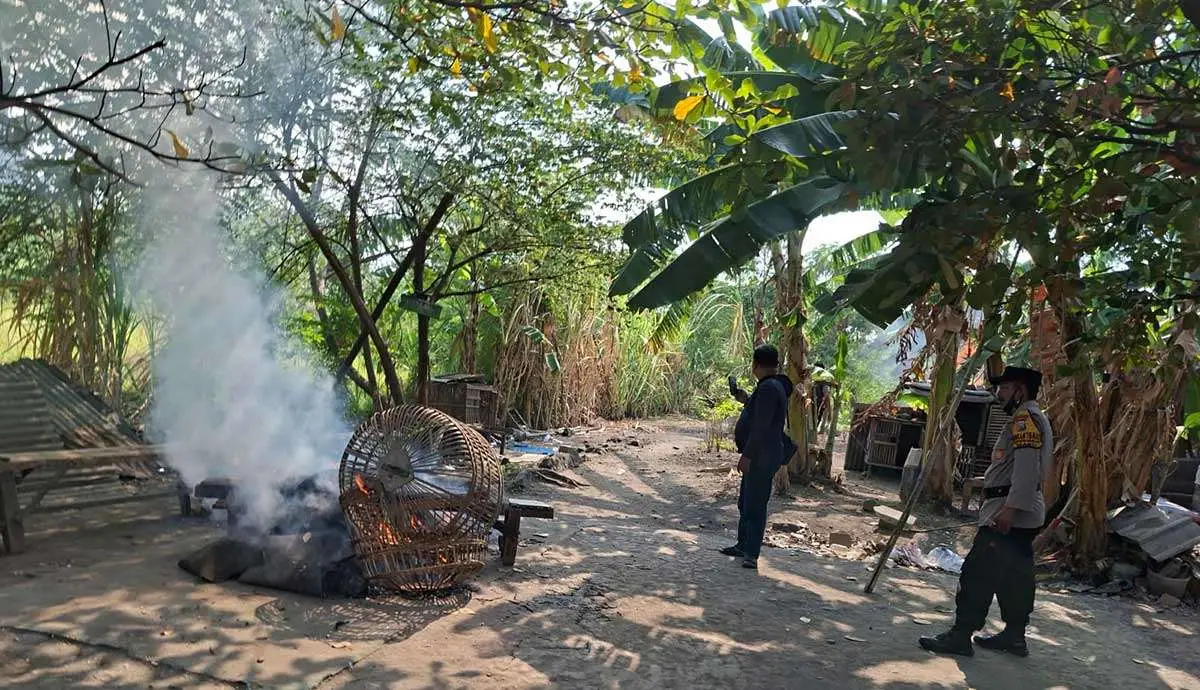 Petugas dari Polsek Waru saat membongkar kandang yang diduga untuk sabung ayam di Desa Bungurasih Utara.