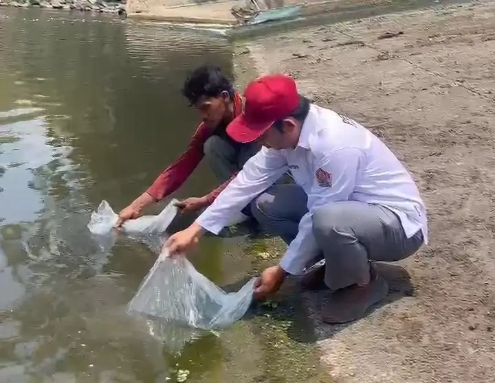 Denda Penyetrum Ikan di Tulungagung Dipakai untuk Tebar 6.000 Benih Tawes Pulihkan Ekosistem Sungai