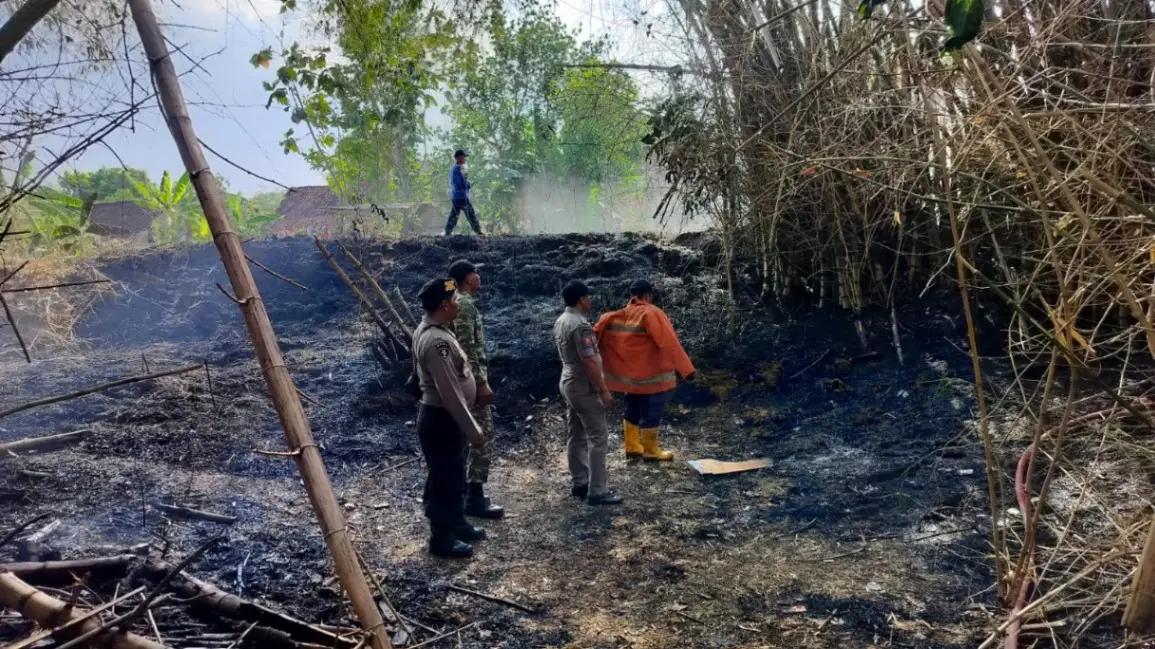 Dua Kebakaran Lahan Terjadi di Kedungpring Lamongan, Diduga akibat Sampah yang Dibakar