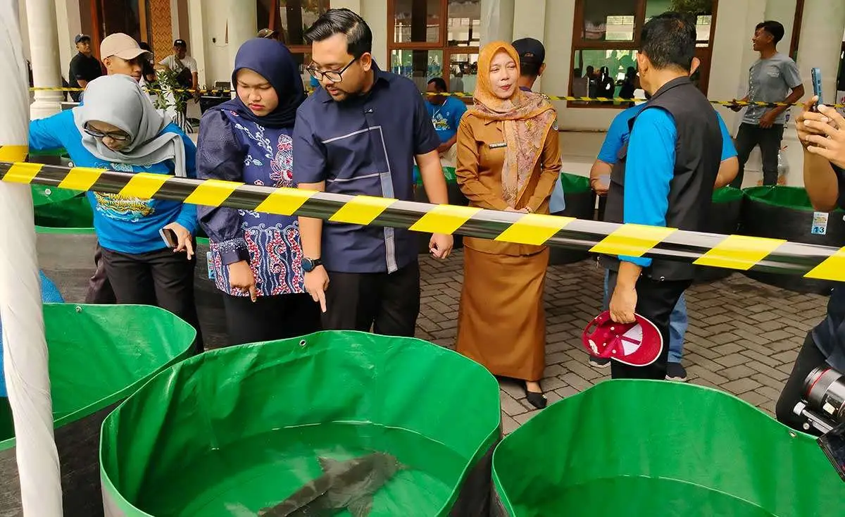 DKPP Nganjuk Gelar Kontes Abot-Abotan Iwak