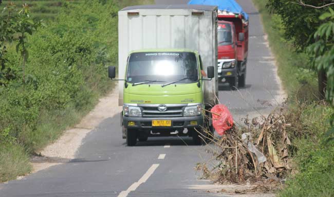 Jembatan berlubang di Desa Ngepon, yang berada di perbatasan Kecamatan Jatirogo dan Bancar. foto: SUWANDI/ BANGSAONLINE