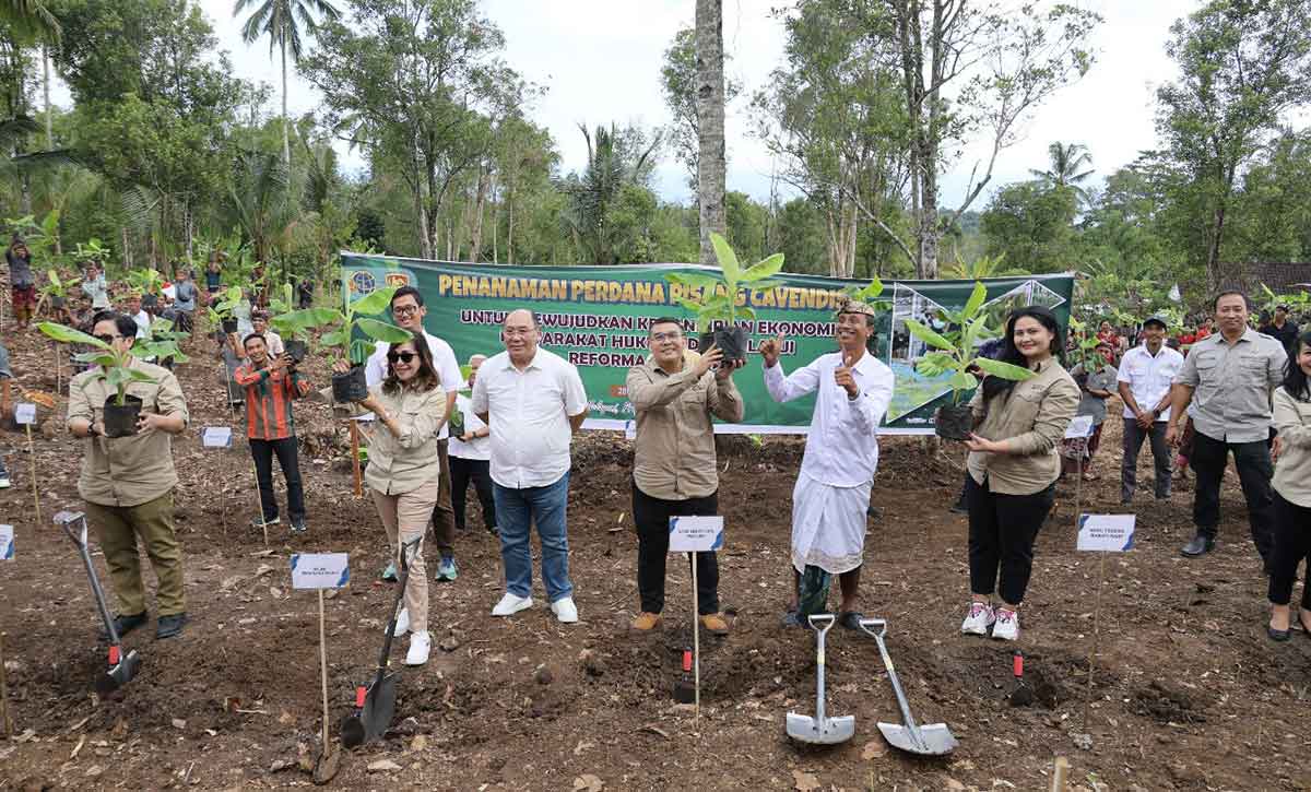 Wamen ATR/BPN Tanam Pisang di Jembrana, Wujud Penataan Akses Tanah Ulayat Pertama di Indonesia