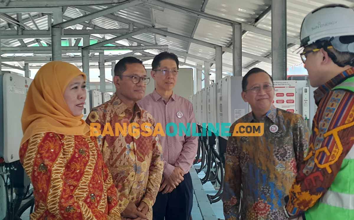 Dukung Net Zero Emission 2060, Tjiwi Kimia Resmi Operasikan PLTS Atap 9,8 MWp